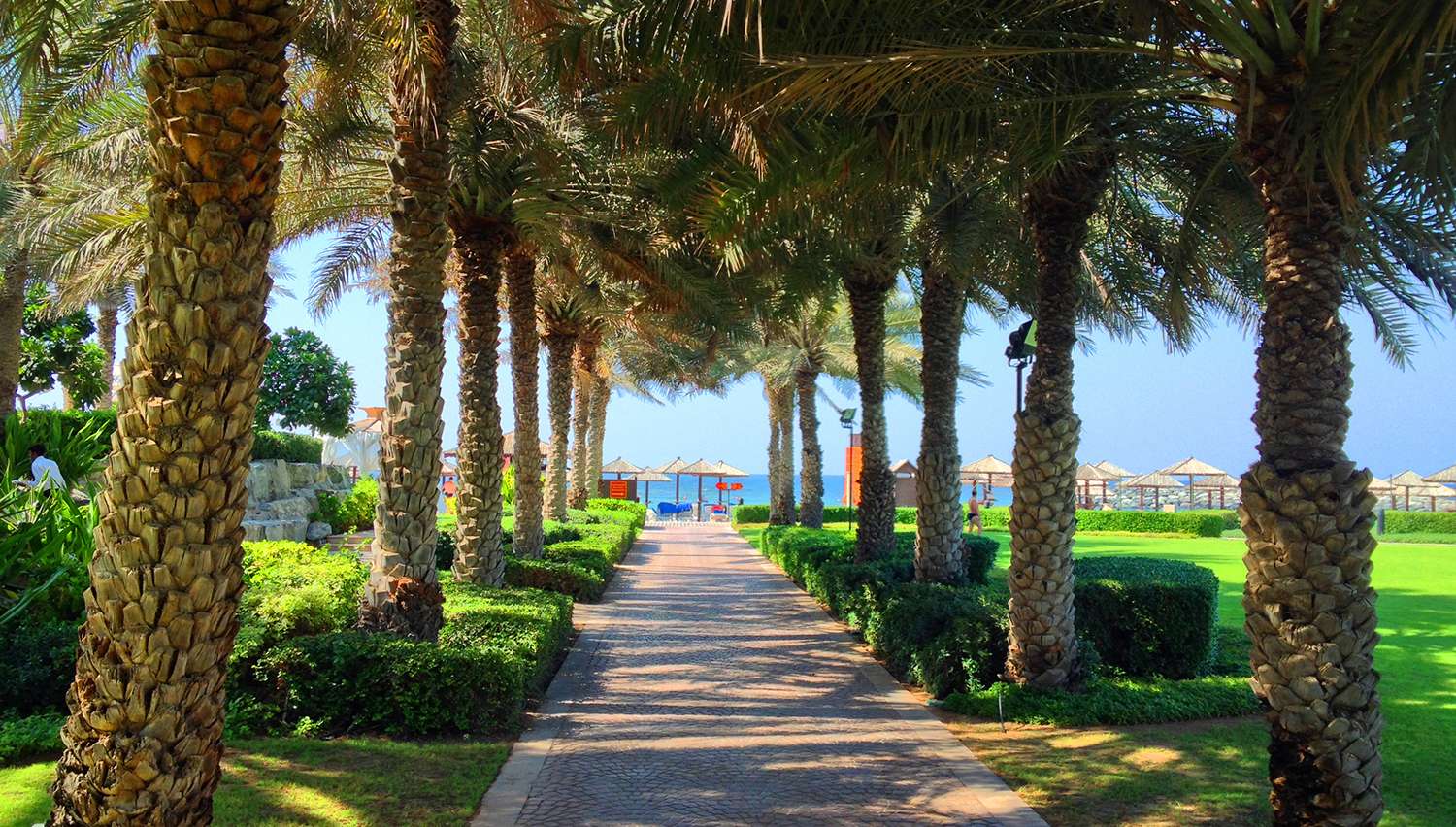 Coral Beach Resort Sharjah (Дубай, ОАЕ)